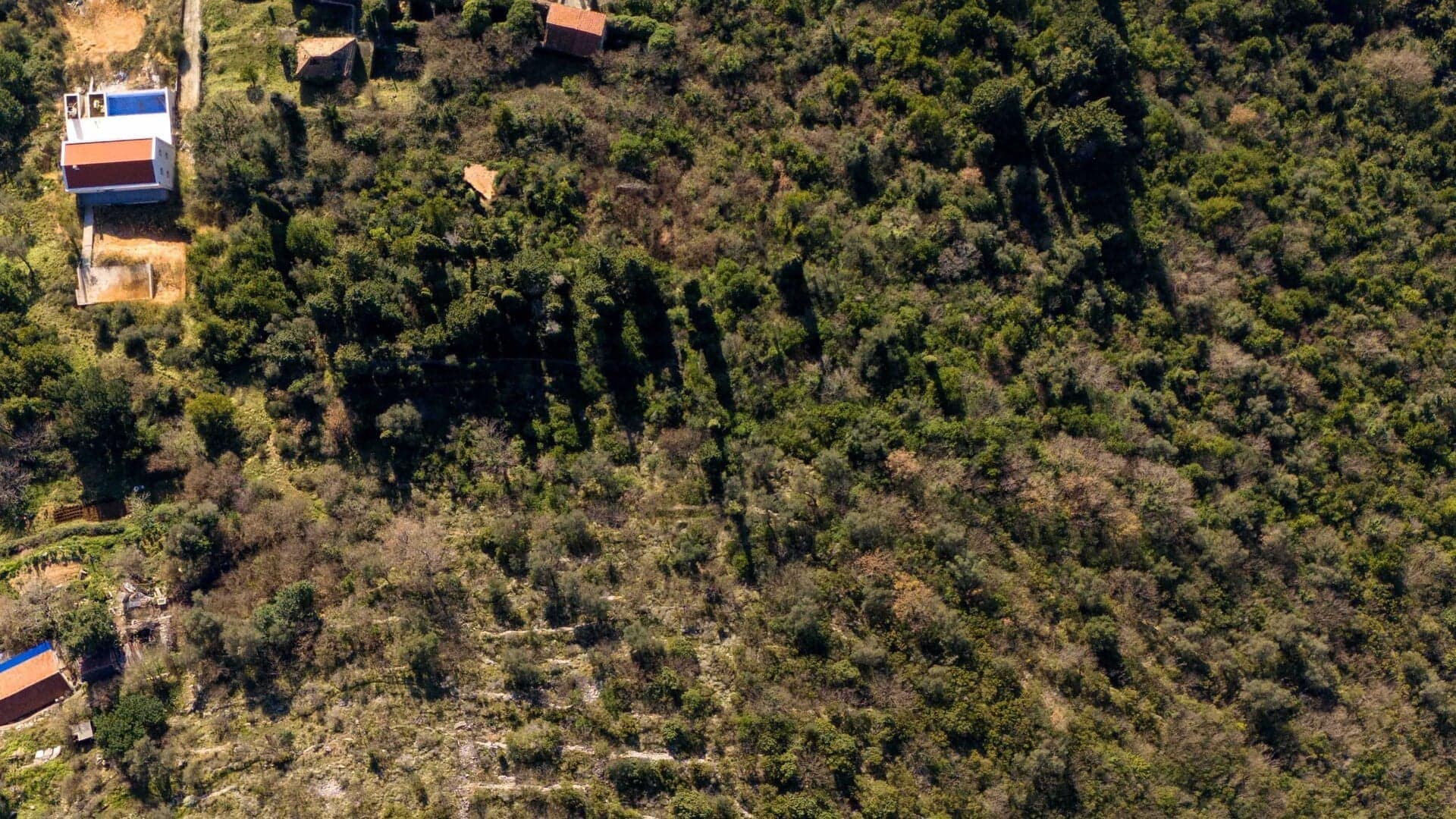 Donja Lastva Urbanized Land (4)