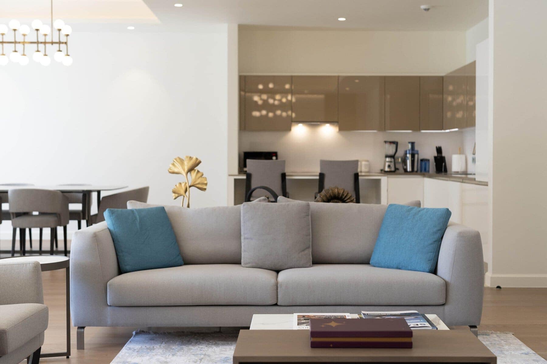 Portonovi Designer Furnished 2bdr Apartment (5)