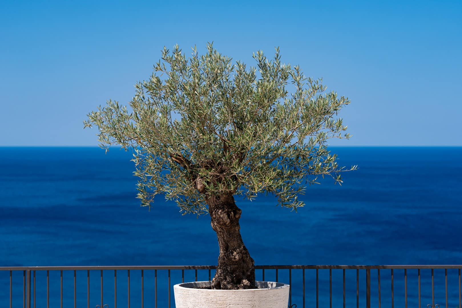 Designer stone villa, Drobni Pijesak, Budva (34)