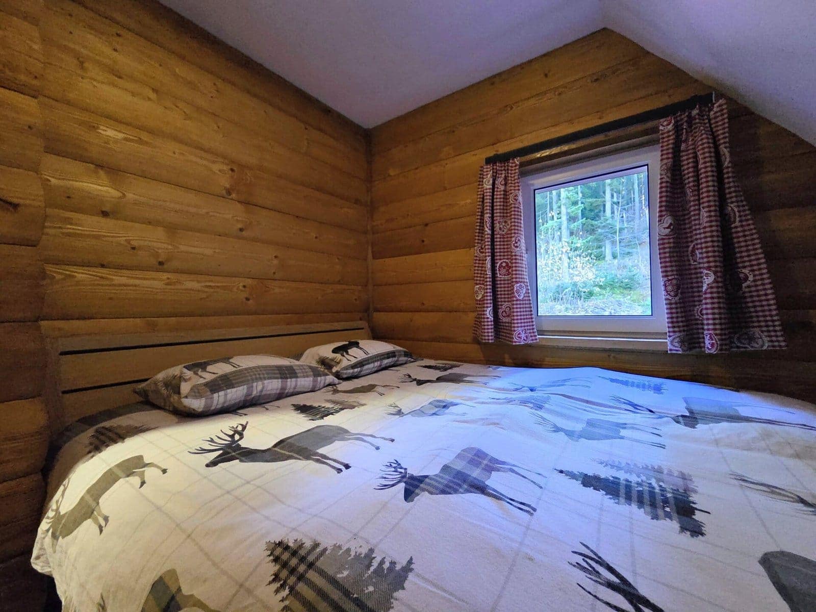 Furnished four bedroom house with sauna, Zabljak (9)