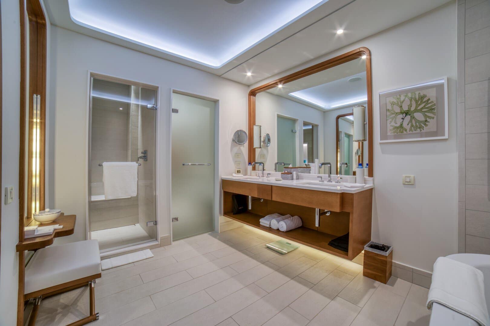Exclusive Waterfront Regent Penthouse, Porto Montenegro (24)