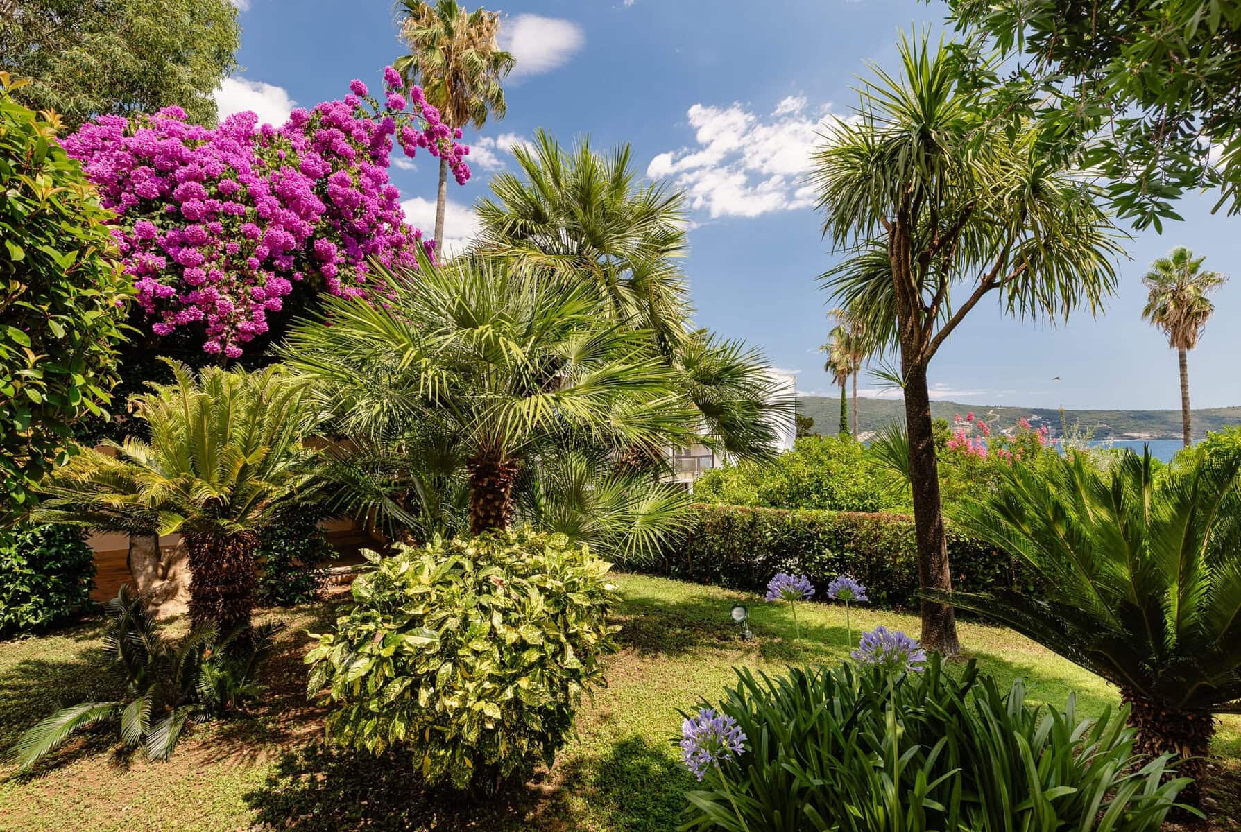 Exclusive Villa on the second line from the sea, Herceg Novi, Savina (5)