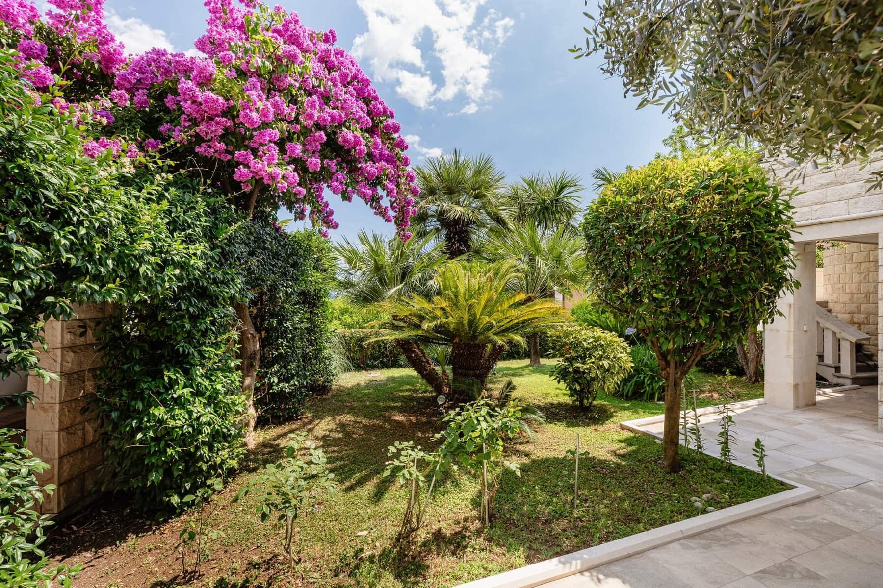 Exclusive Villa on the second line from the sea, Herceg Novi, Savina (6)
