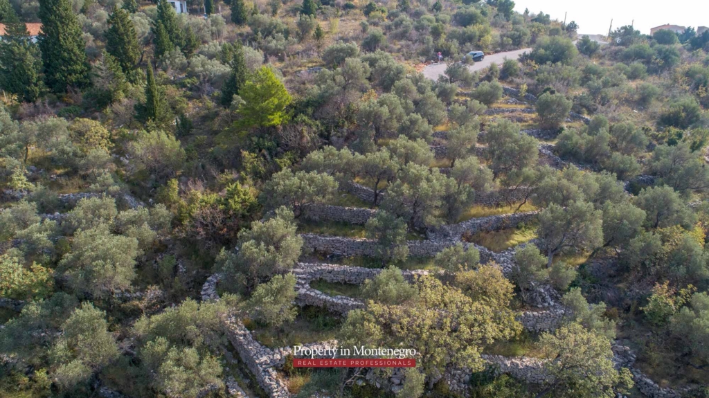 Land for sale in Budva Riviera