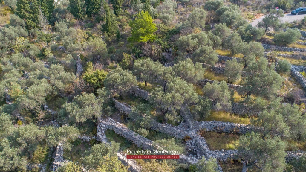 Land for sale in Budva Riviera