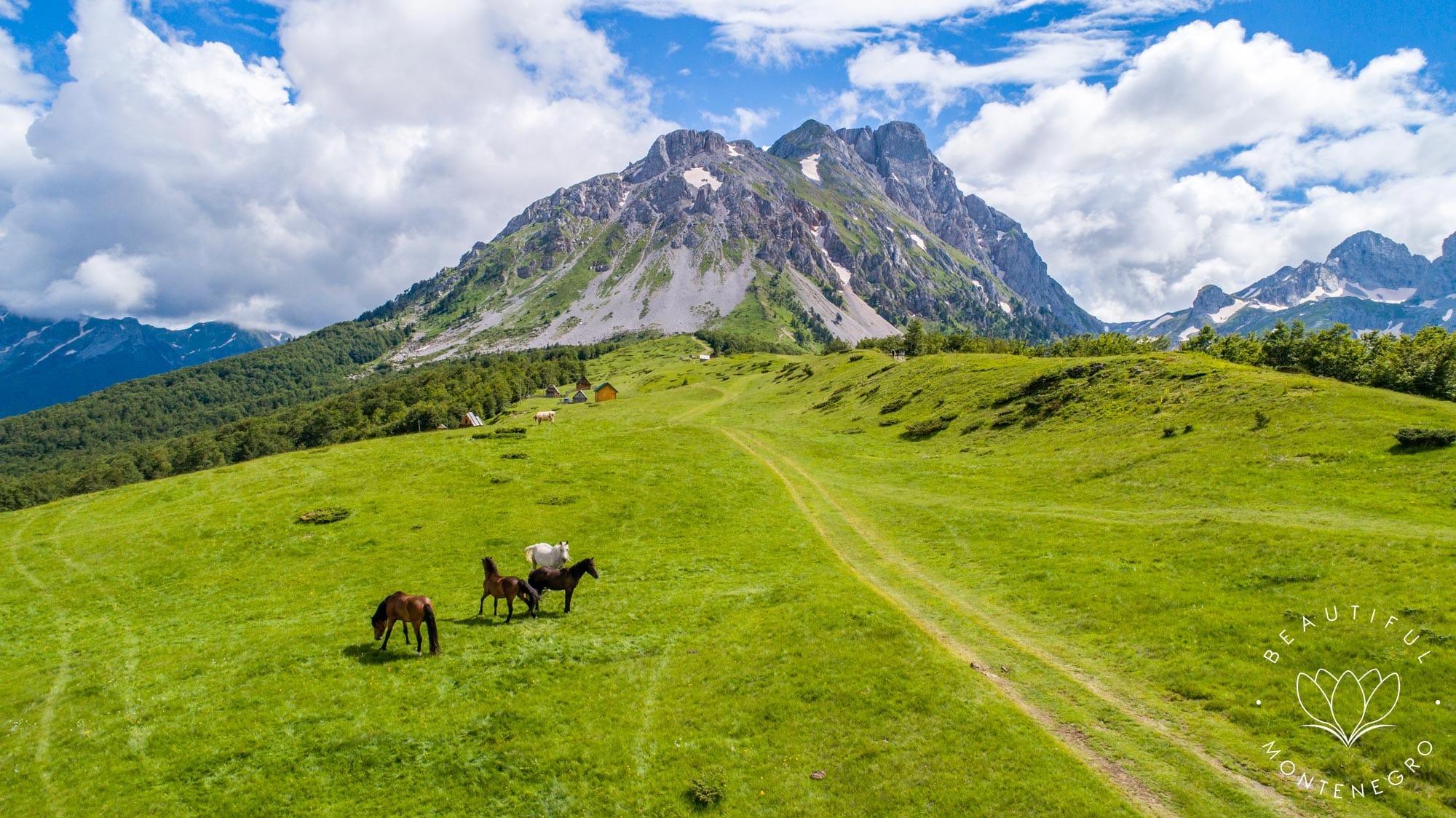 National park Bjelasica 6