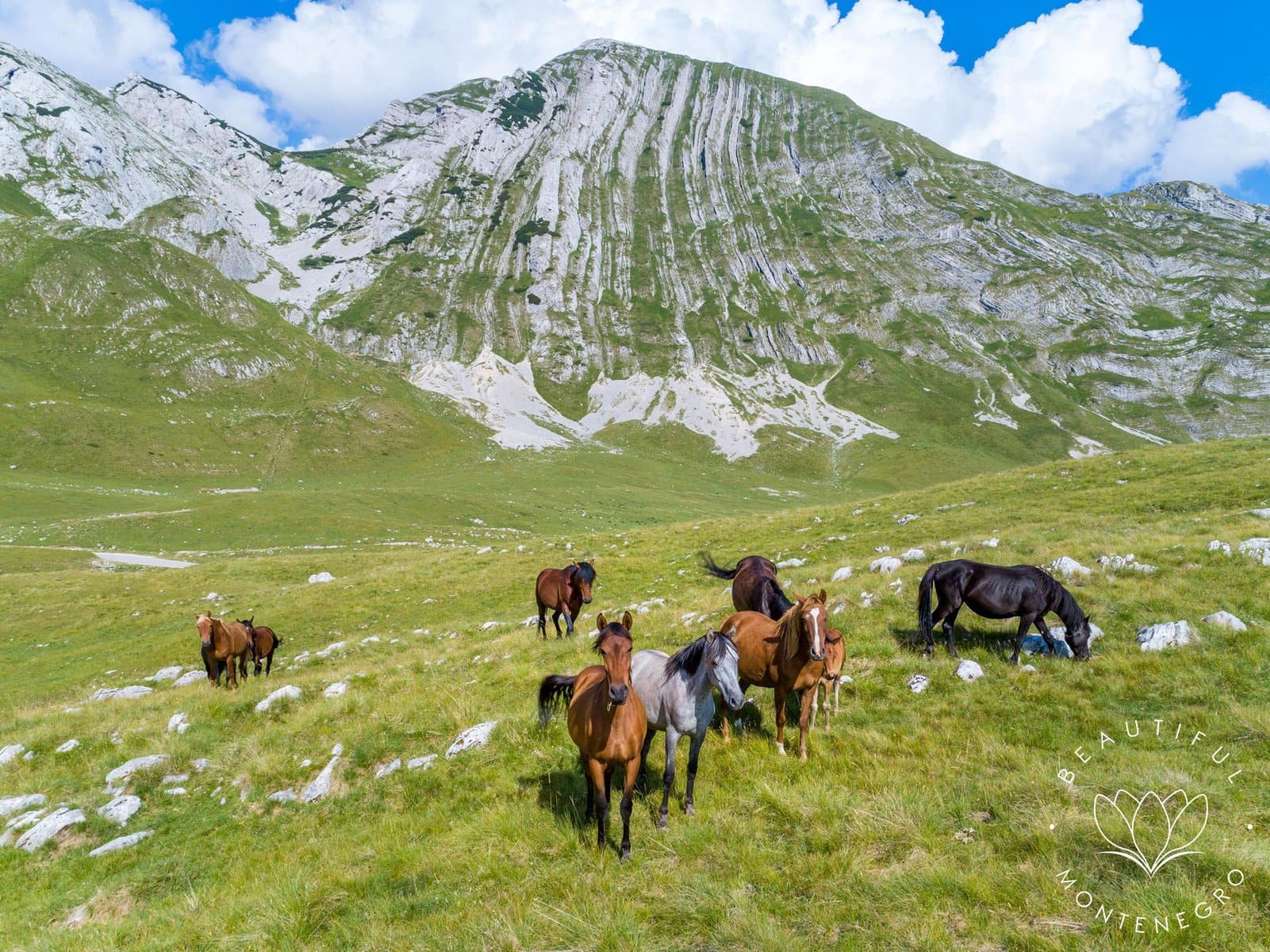 National park Durmitor 4