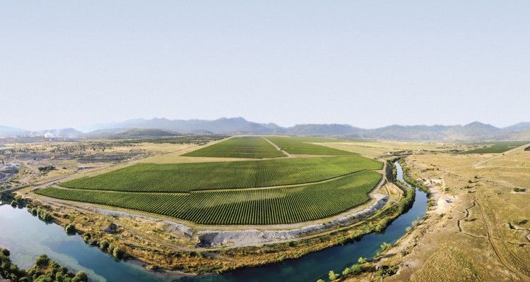 Vinogradi 3 750x400 1