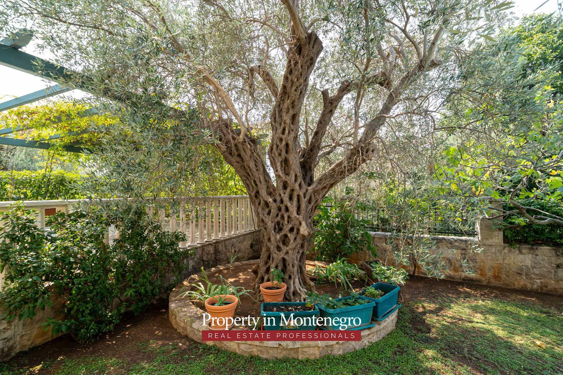 Luxury villa with swimming pool for sale in Petrovac 77