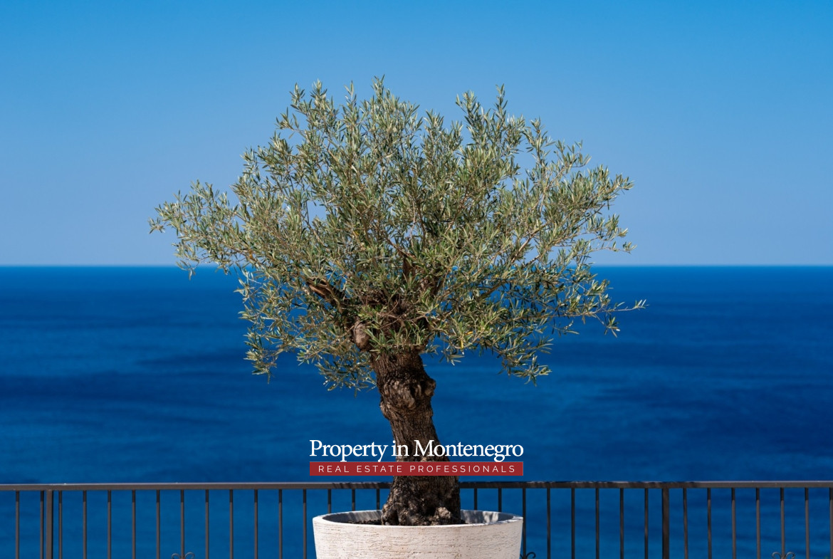 34 luxury renovated stone villa Drobni Pijesak